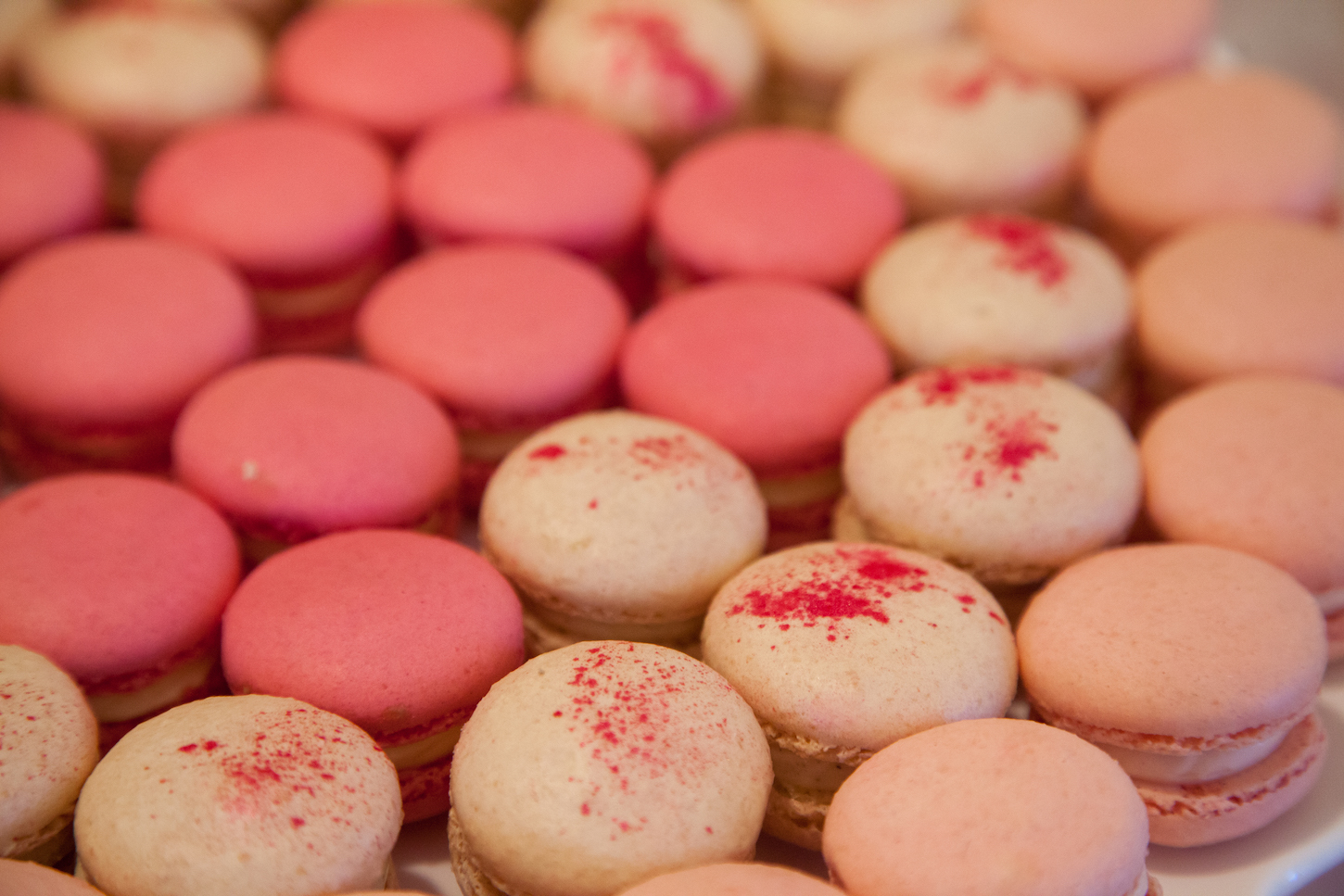 Macarons | Made By Meg Catering