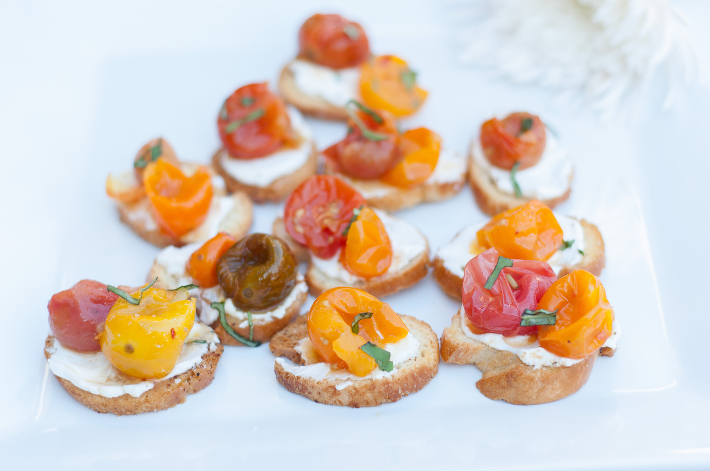 Roasted Tomato Crostinis | Made By Meg Catering