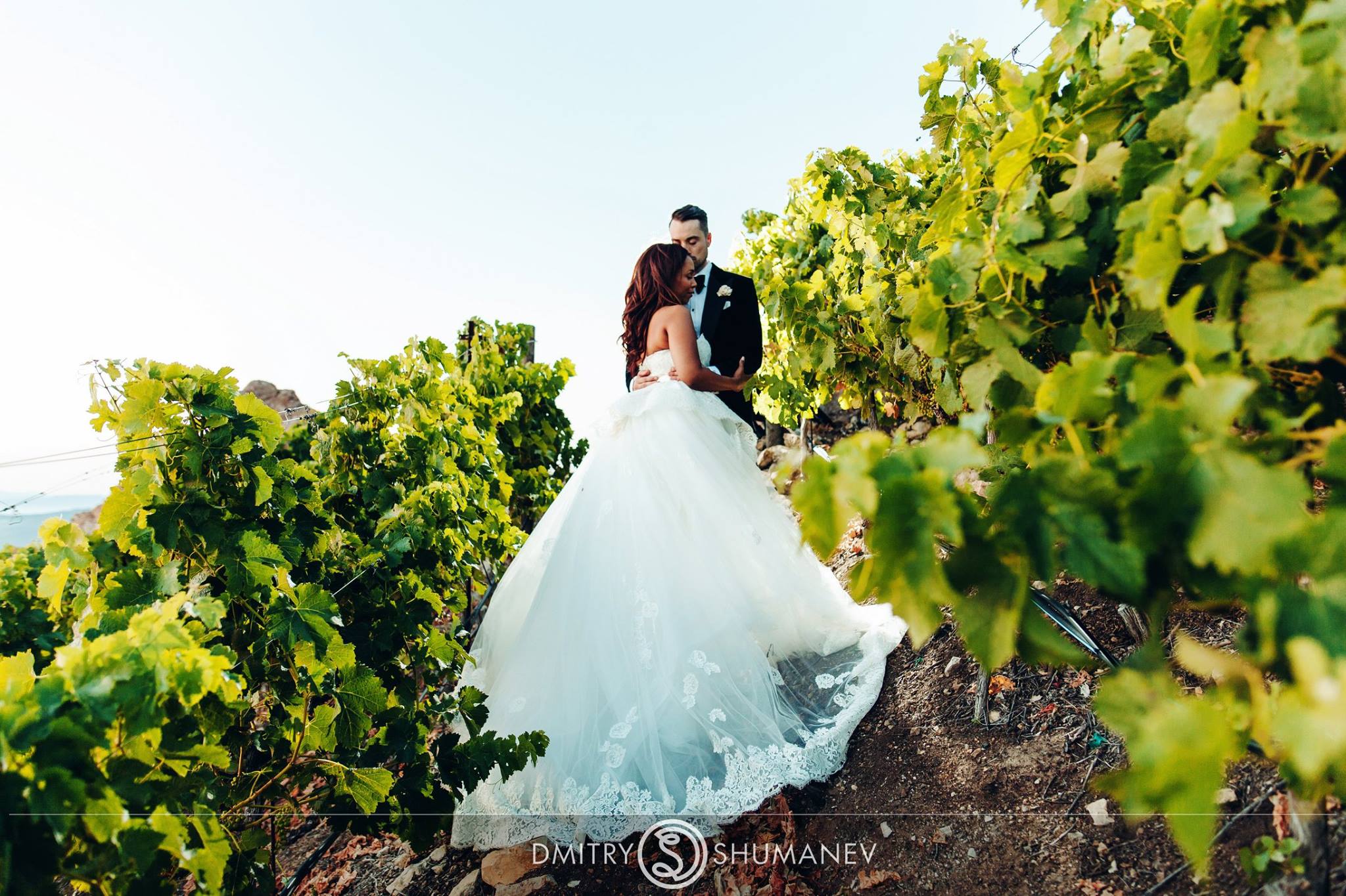 Bride and Groom in Vineyards at Malibu Rocky Oaks