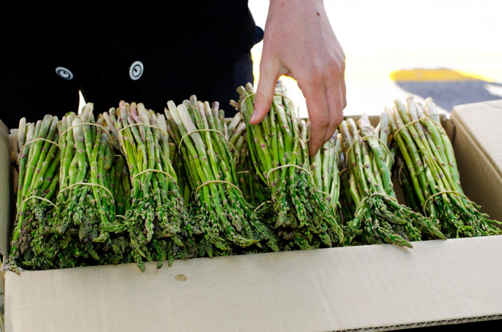 Pictured are bundles of asparagus in a box.